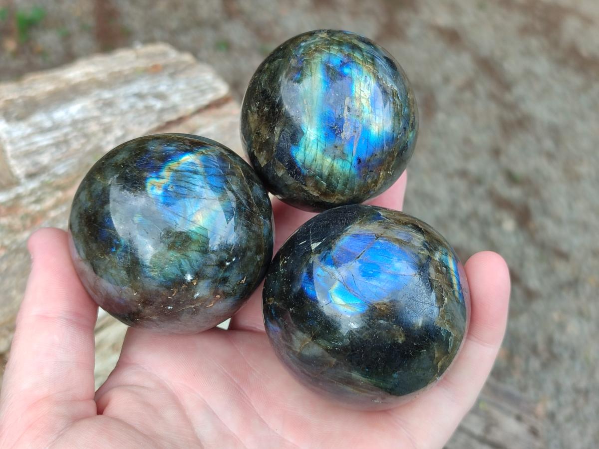 Polished Small Labradorite Spheres x 6 From Madagascar