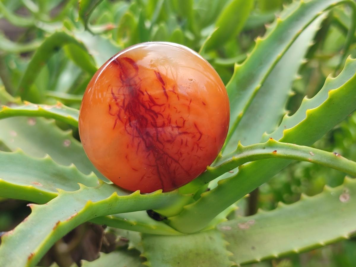 Polished Carnelian Agate Gemstone Galets x 20 From Madagascar