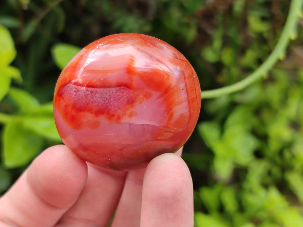 Polished Carnelian Agate Gemstone Galets x 20 From Madagascar