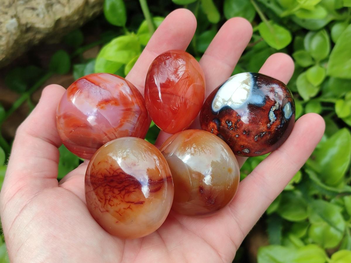 Polished Carnelian Agate Gemstone Galets x 20 From Madagascar