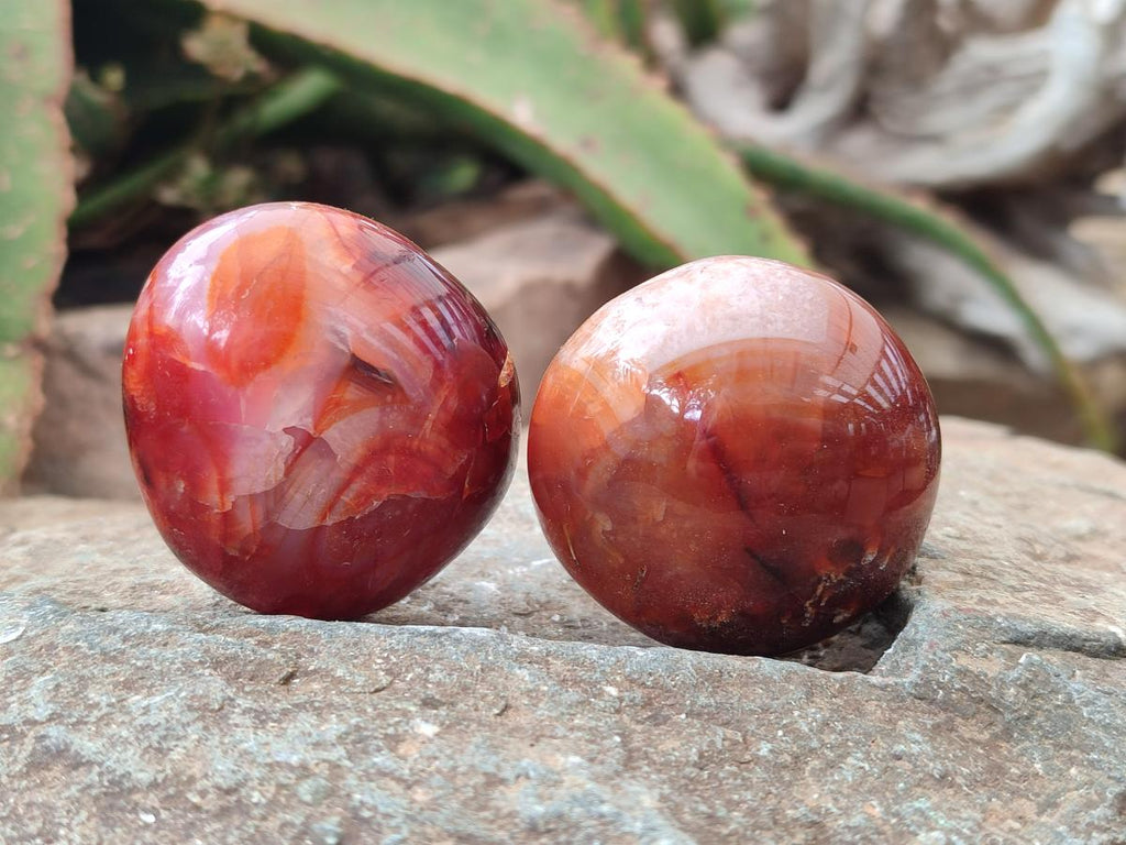 Polished Carnelian Agate Gemstone Galets x 20 From Madagascar