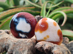 Polished Carnelian Agate Gemstone Galets x 20 From Madagascar