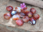Polished Carnelian Agate Gemstone Galets x 20 From Madagascar