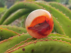 Polished Carnelian Agate Gemstone Galets x 20 From Madagascar