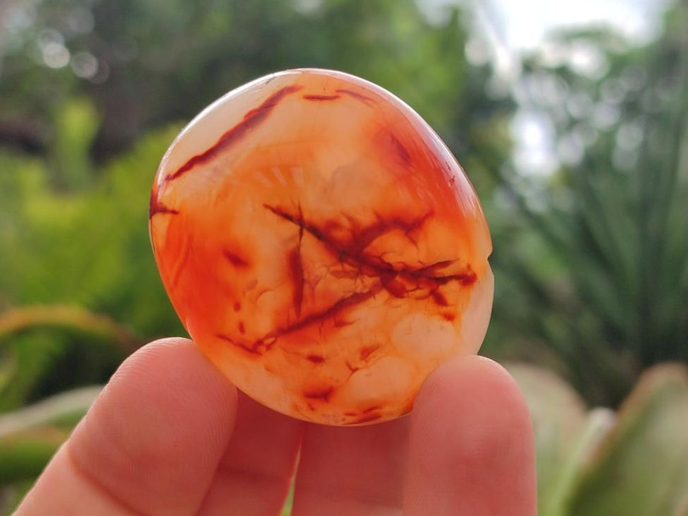 Polished Carnelian Agate Gemstone Galets x 20 From Madagascar