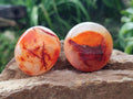 Polished Carnelian Agate Gemstone Galets x 20 From Madagascar