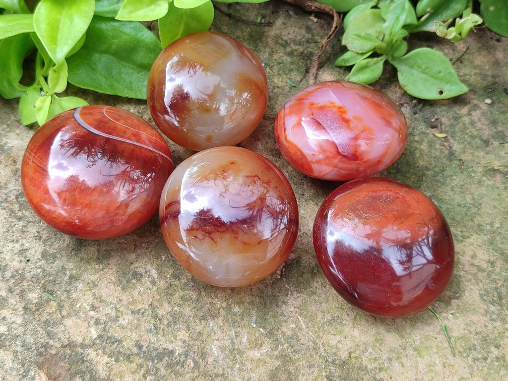 Polished Carnelian Agate Gemstone Galets x 20 From Madagascar