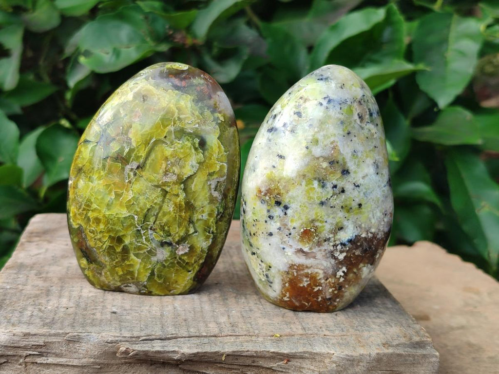 Polished Green Opal Standing Free Forms x 4 From Betroka, Madagascar