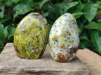Polished Green Opal Standing Free Forms x 4 From Betroka, Madagascar