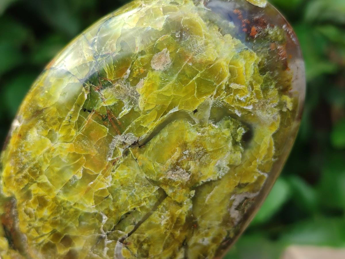 Polished Green Opal Standing Free Forms x 4 From Betroka, Madagascar