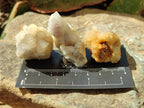 Natural Mixed Spirit Quartz Clusters x 35 From Boekenhouthoek, South Africa