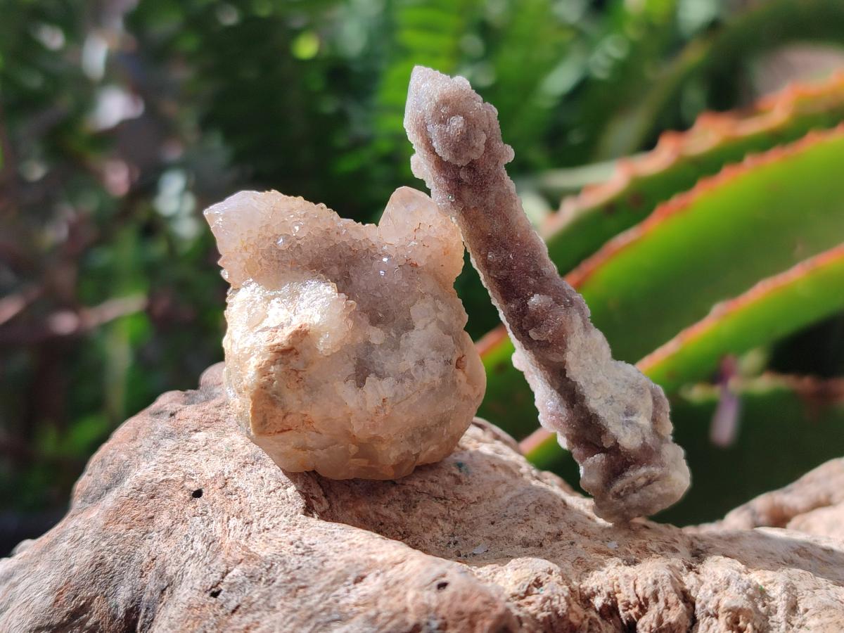 Natural Mixed Spirit Quartz Clusters x 35 From Boekenhouthoek, South Africa