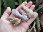 Natural Mixed Spirit Quartz Clusters x 35 From Boekenhouthoek, South Africa