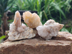 Natural Mixed Spirit Quartz Clusters x 35 From Boekenhouthoek, South Africa