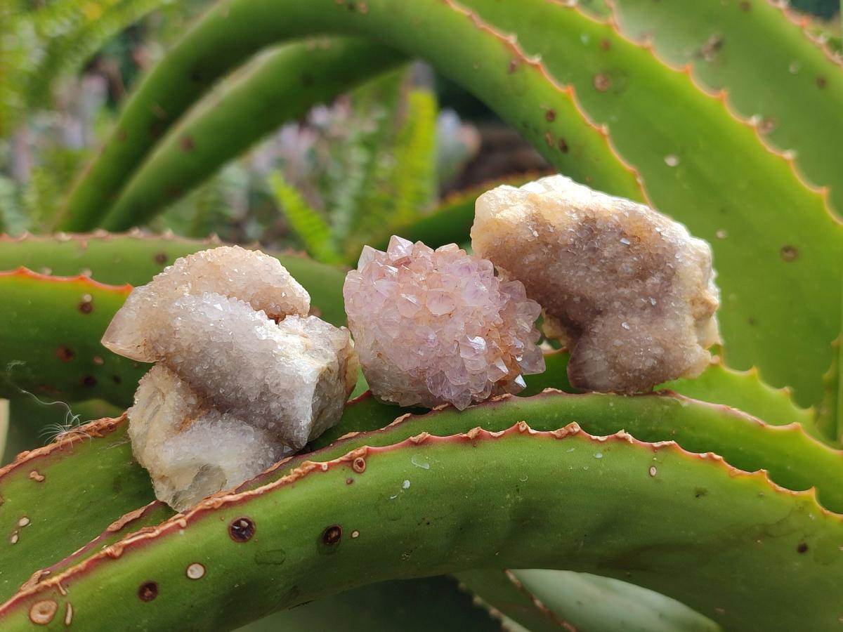Natural Mixed Spirit Quartz Clusters x 35 From Boekenhouthoek, South Africa