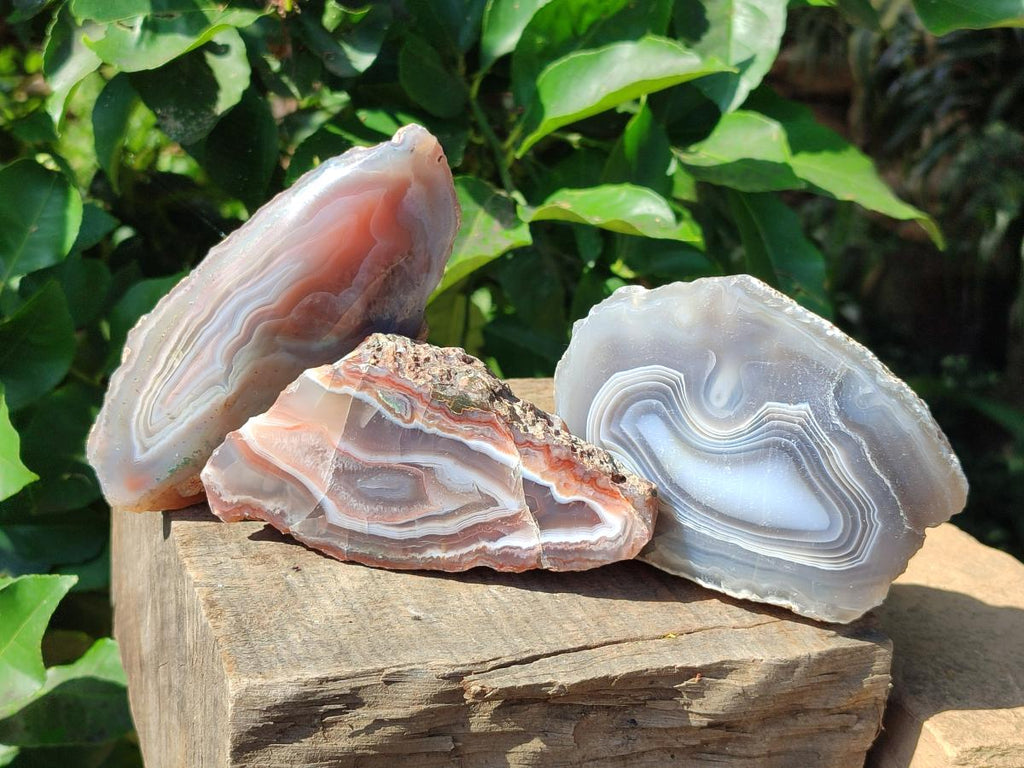 Polished One Side Red Shashe River Agate Nodules x 4 From Shashe River, Zimbabwe