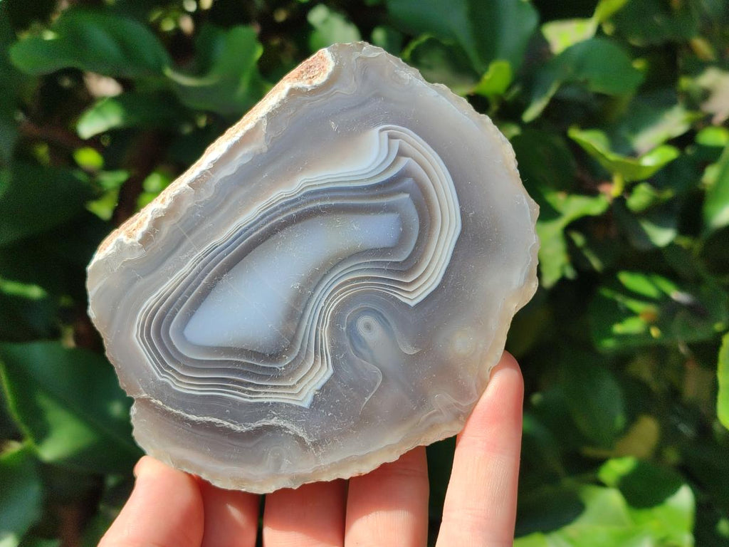 Polished One Side Red Shashe River Agate Nodules x 4 From Shashe River, Zimbabwe