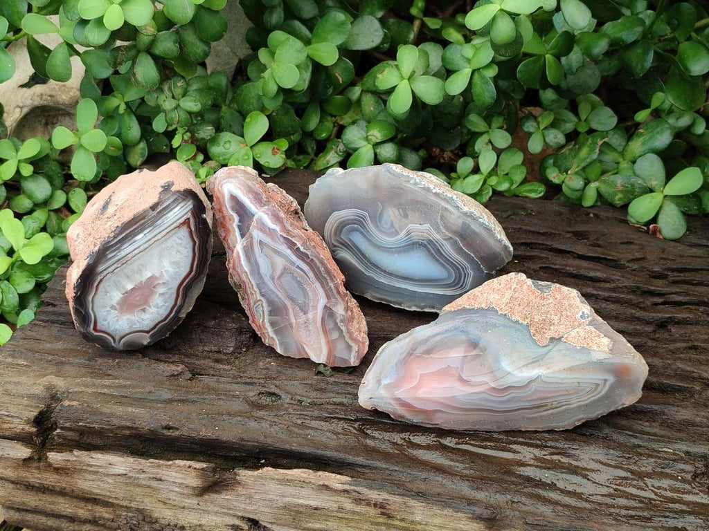 Polished One Side Red Shashe River Agate Nodules x 4 From Shashe River, Zimbabwe
