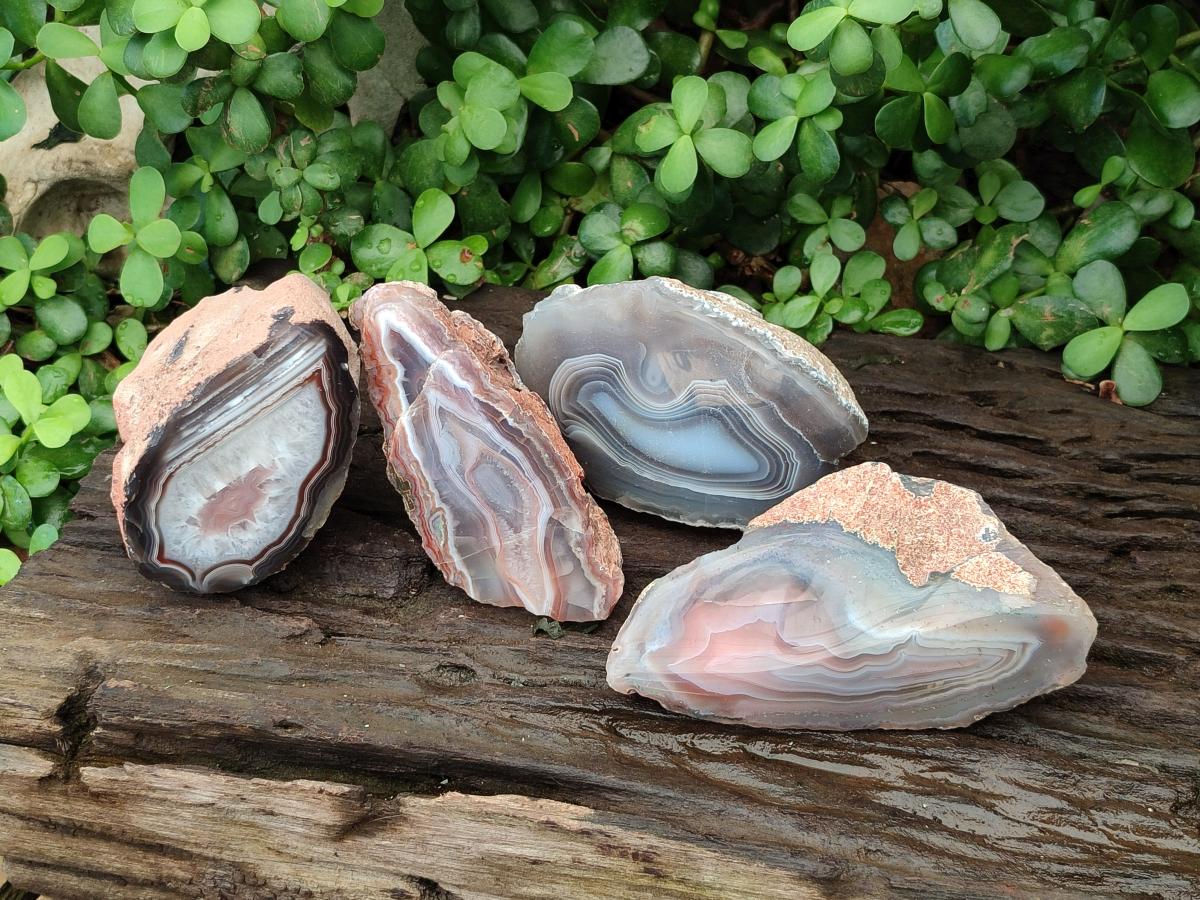 Polished One Side Red Shashe River Agate Nodules x 4 From Shashe River, Zimbabwe
