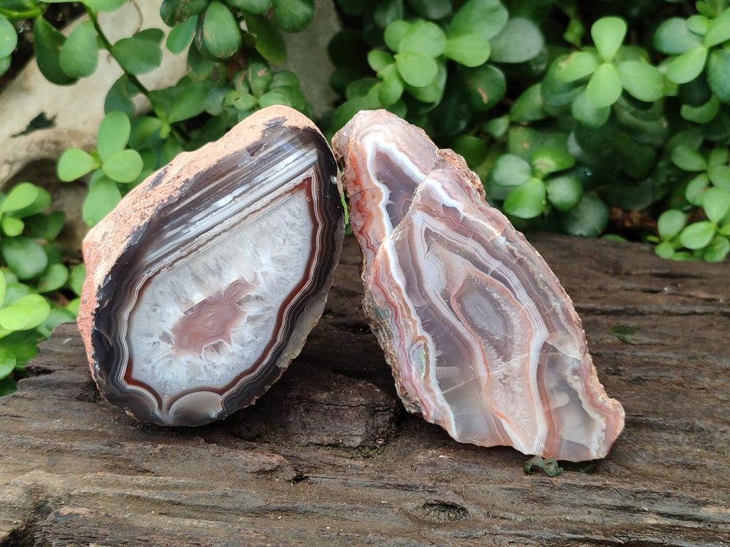 Polished One Side Red Shashe River Agate Nodules x 4 From Shashe River, Zimbabwe