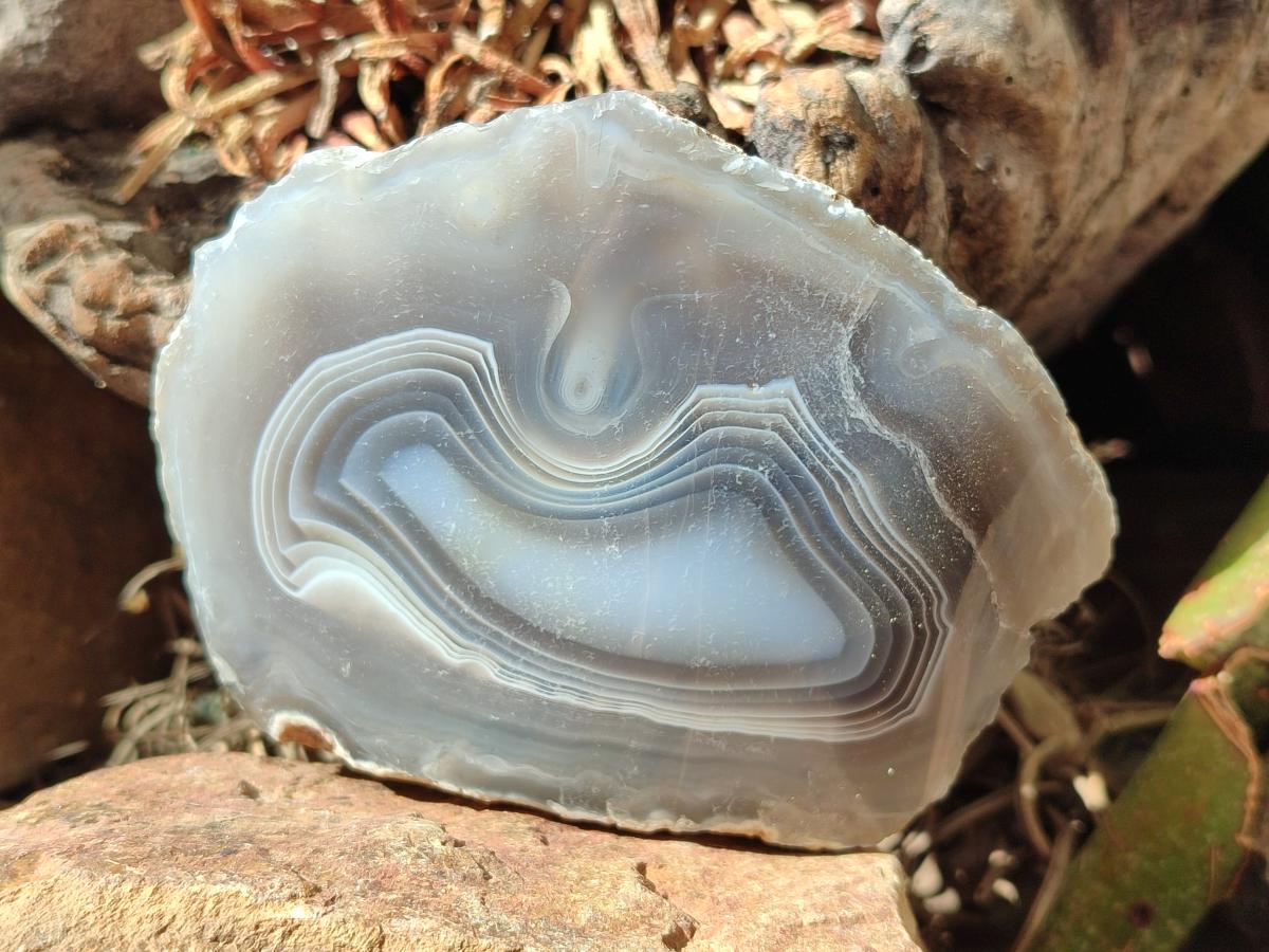 Polished One Side Red Shashe River Agate Nodules x 4 From Shashe River, Zimbabwe