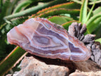 Polished One Side Red Shashe River Agate Nodules x 4 From Shashe River, Zimbabwe