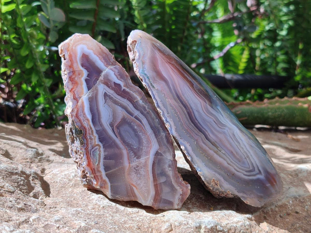 Polished One Side Red Shashe River Agate Nodules x 4 From Shashe River, Zimbabwe