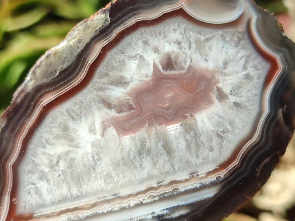 Polished One Side Red Shashe River Agate Nodules x 4 From Shashe River, Zimbabwe