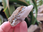 Natural Drusy Quartz Coated Spearhead Calcite Crystals x 70 From Albert's Mountain, Lesotho