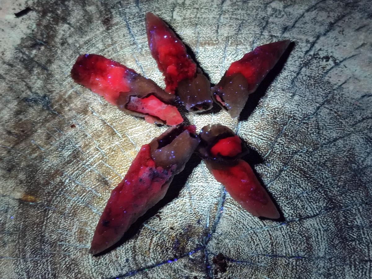 Natural Drusy Quartz Coated Spearhead Calcite Crystals x 70 From Albert's Mountain, Lesotho