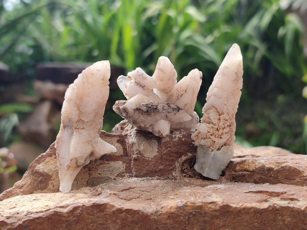Natural Drusy Quartz Coated Spearhead Calcite Crystals x 70 From Albert's Mountain, Lesotho