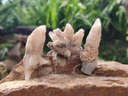 Natural Drusy Quartz Coated Spearhead Calcite Crystals x 70 From Albert's Mountain, Lesotho