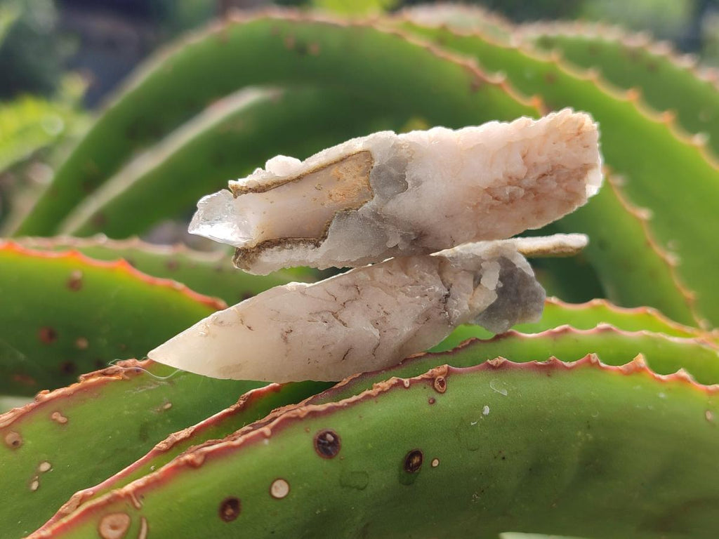 Natural Drusy Quartz Coated Spearhead Calcite Crystals x 70 From Albert's Mountain, Lesotho