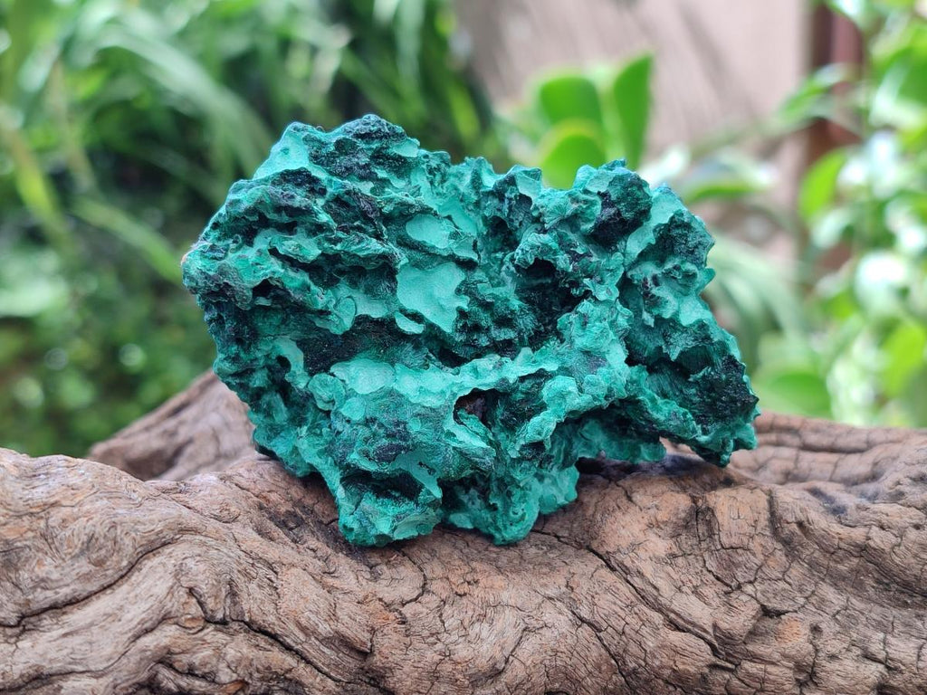 Natural Silky Malachite Specimens x 12 From Kasompe, Congo