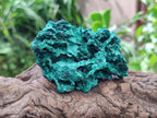Natural Silky Malachite Specimens x 12 From Kasompe, Congo