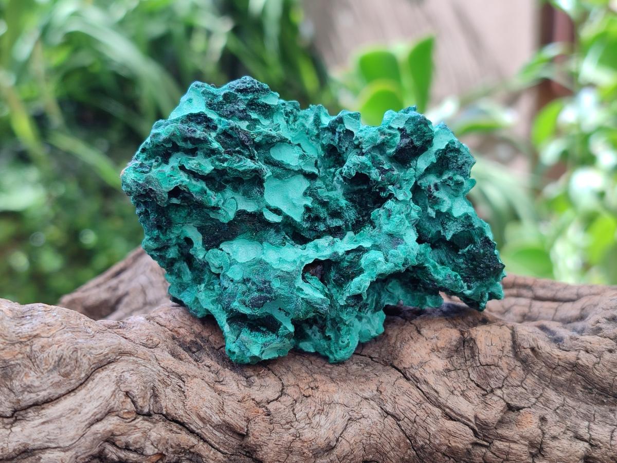 Natural Silky Malachite Specimens x 12 From Kasompe, Congo