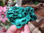 Natural Silky Malachite Specimens x 12 From Kasompe, Congo
