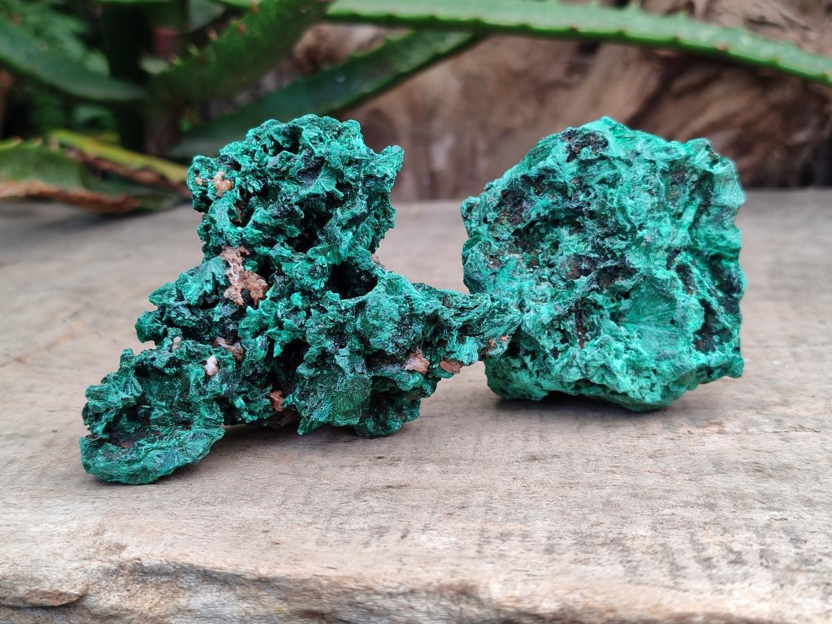 Natural Silky Malachite Specimens x 12 From Kasompe, Congo