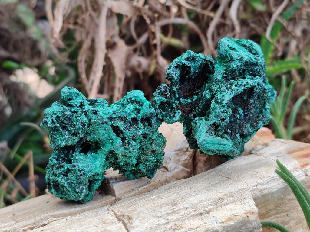 Natural Silky Malachite Specimens x 12 From Kasompe, Congo