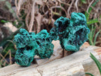 Natural Silky Malachite Specimens x 12 From Kasompe, Congo