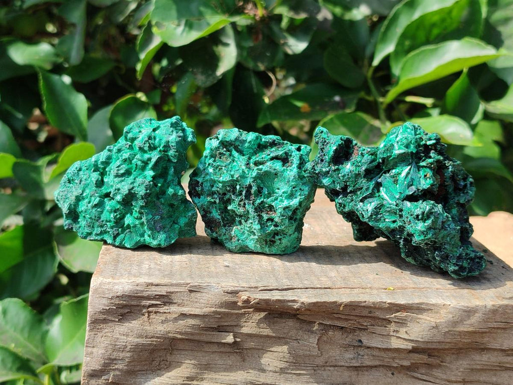 Natural Silky Malachite Specimens x 12 From Kasompe, Congo