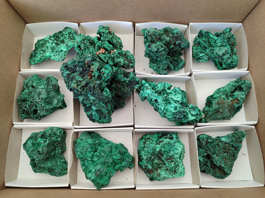 Natural Silky Malachite Specimens x 12 From Kasompe, Congo