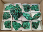 Natural Silky Malachite Specimens x 12 From Kasompe, Congo