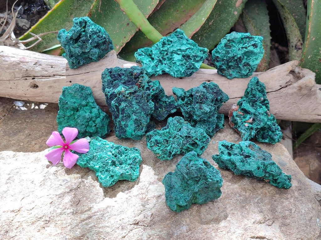 Natural Silky Malachite Specimens x 12 From Kasompe, Congo