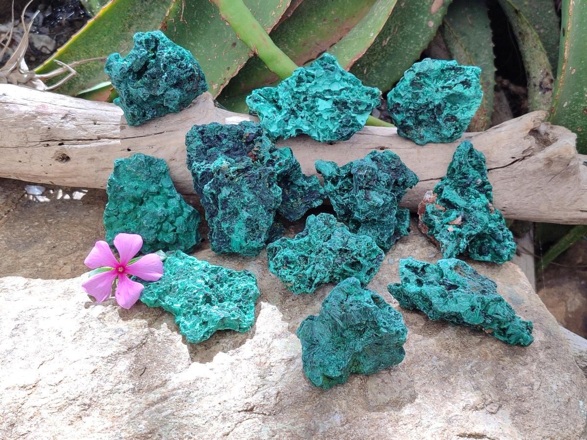 Natural Silky Malachite Specimens x 12 From Kasompe, Congo