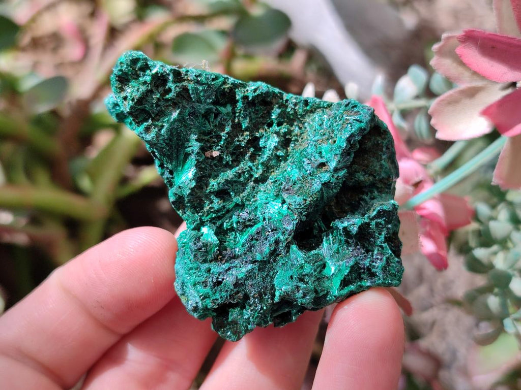 Natural Silky Malachite Specimens x 12 From Kasompe, Congo