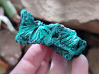 Natural Silky Malachite Specimens x 12 From Kasompe, Congo
