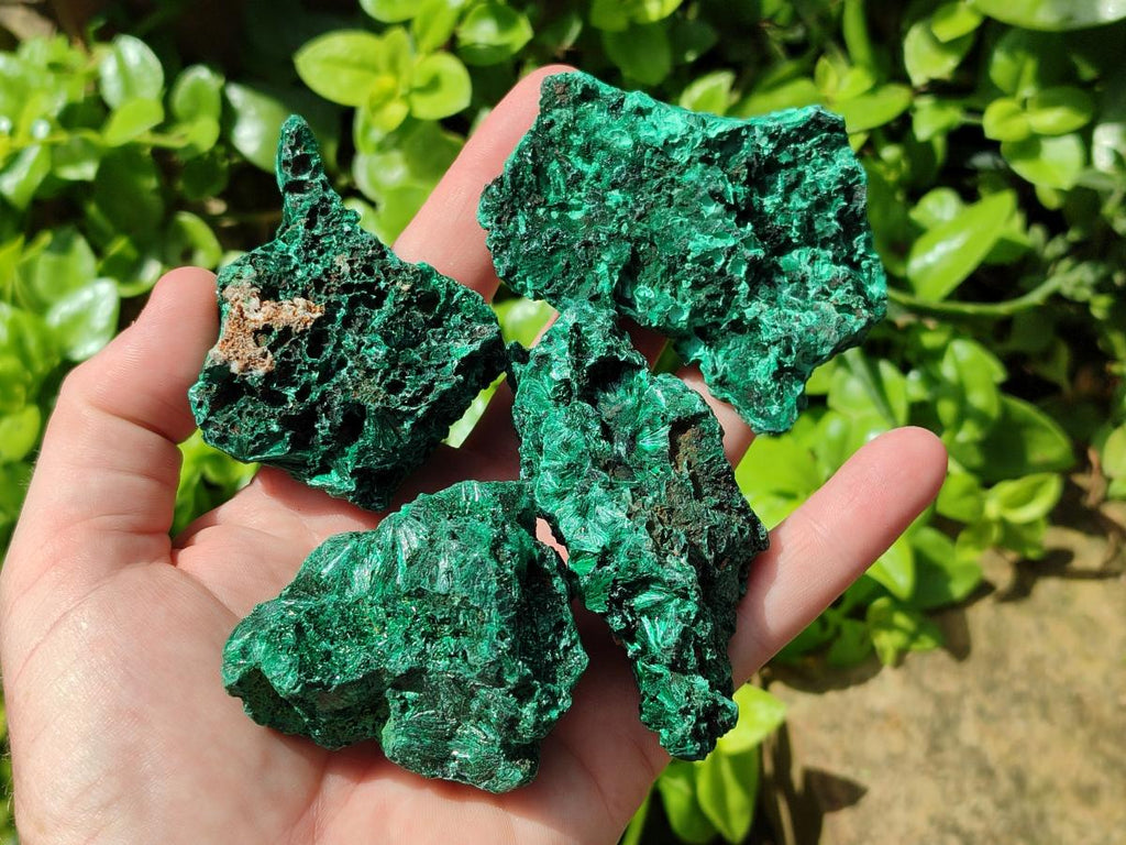 Natural Silky Malachite Specimens x 12 From Kasompe, Congo