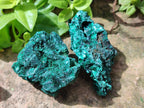 Natural Silky Malachite Specimens x 12 From Kasompe, Congo