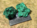 Natural Silky Malachite Specimens x 12 From Kasompe, Congo